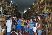 Corduba 09. Fons Mellaria. La cata es un complemento profesional en las industrias agroalimentarias