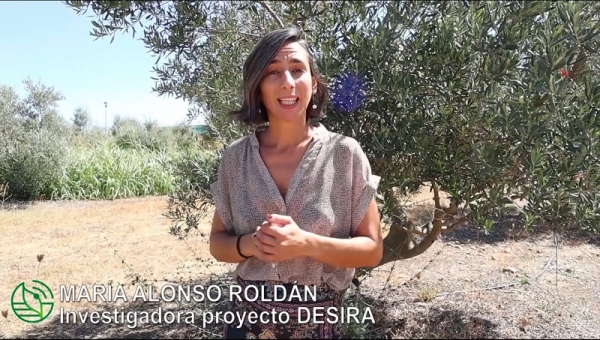 María Alonso Roldán, investigadora del proyecto DESIRA