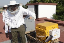 José Antonio Ruiz with the beehive